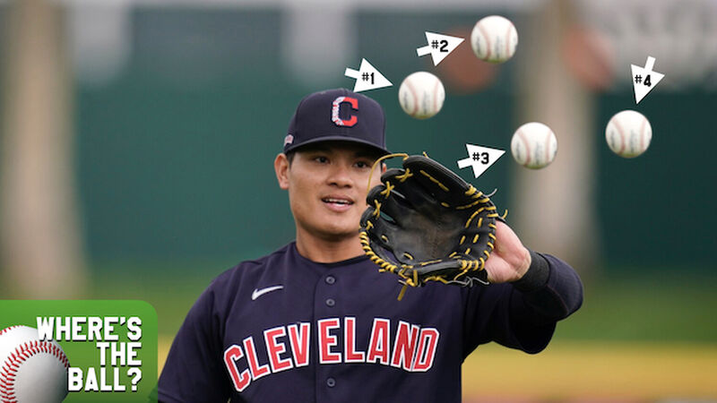 Where's the Ball - Baseball Edition